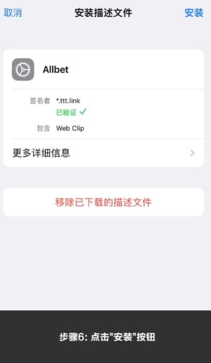 欧博ios应用安装步骤图示6